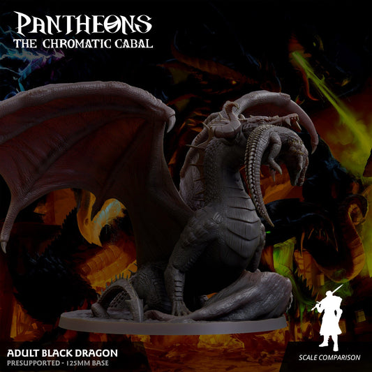 3D Printed Sordane Publishing Adult Black Dragon Pantheons The Chromatic Cabal 28 32mm D&D - 3D Printing Boss