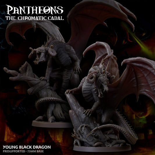 3D Printed Sordane Publishing Young Black Dragon Pantheons The Chromatic Cabal 28 32mm D&D - 3D Printing Boss