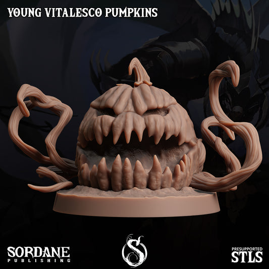 3D Printed Sordane Publishing Young Vitalesco Pumpkins 28 32mm D&D - 3D Printing Boss