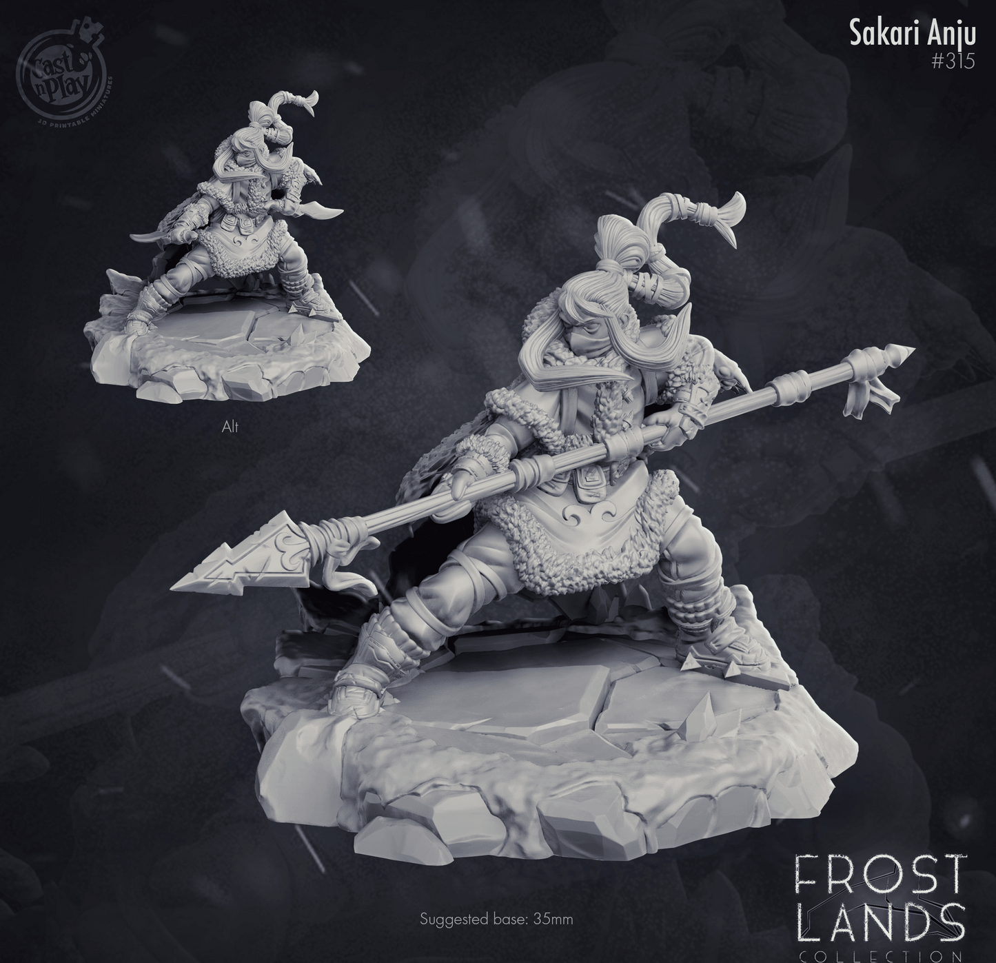 3D Printed Cast n Play Sakari Anju 28mm 32mm D&D - 3D Printing Boss
