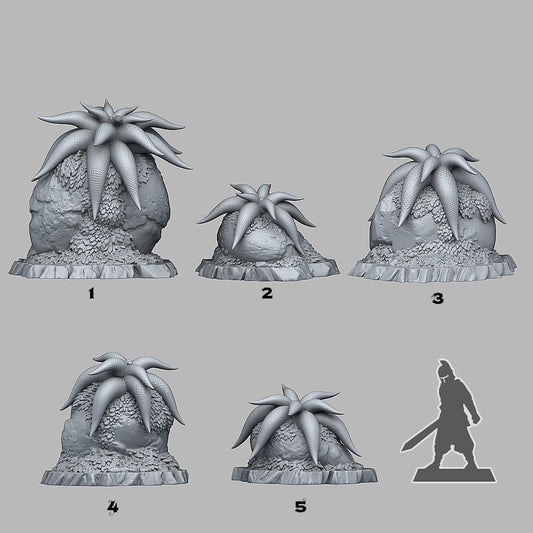 3D Printed Fantastic Plants and Rocks Mysterious Starfish Flowers 28mm - 32mm D&D Wargaming - 3D Printing Boss