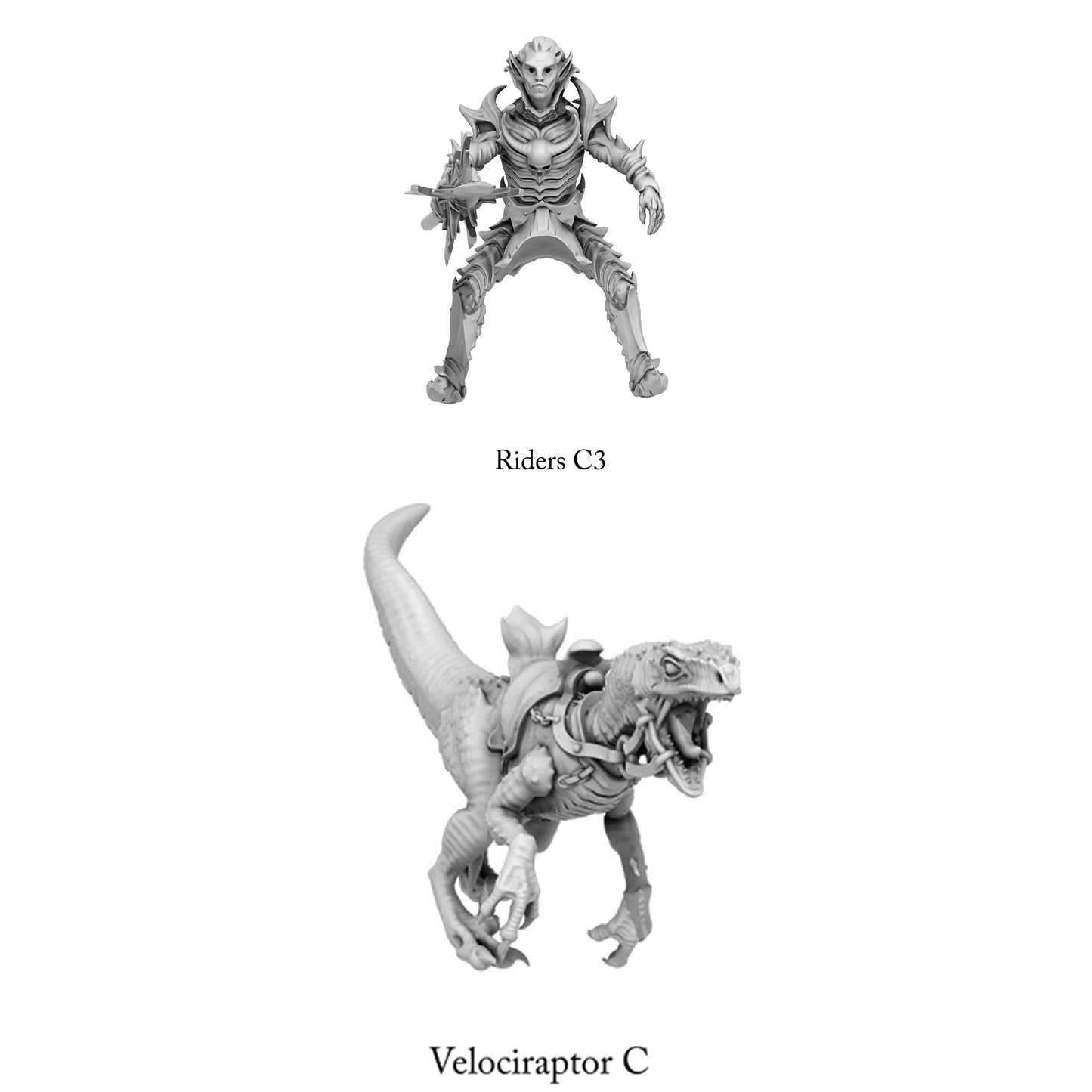 3D Printed Print Your Monsters Dark Elves Rider Set C 28mm - 32mm D&D Wargaming - 3D Printing Boss