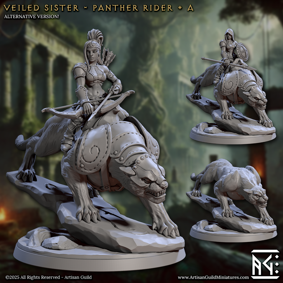 3D Printed Artisan Guild Panther Riders Veiled Sisterhood Set 28mm 32mm
