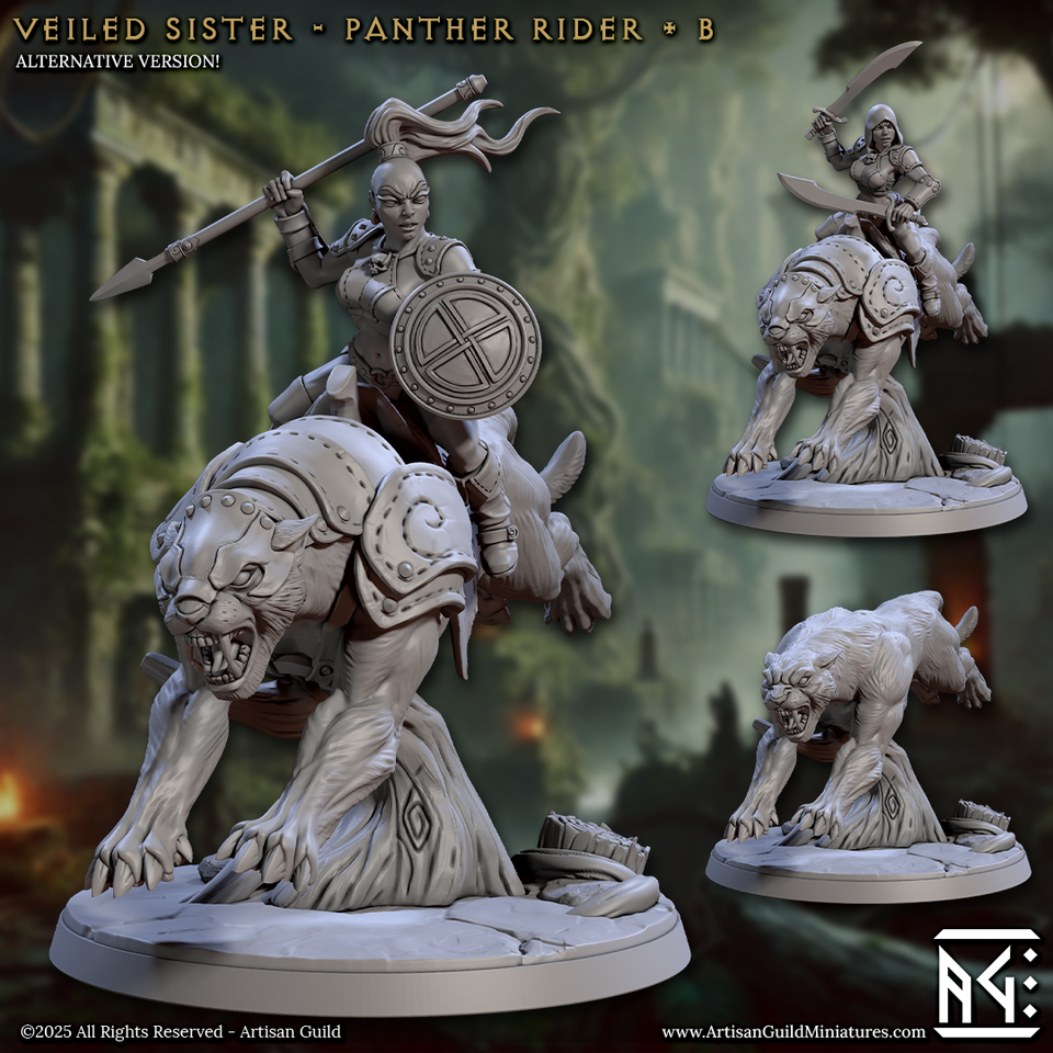 3D Printed Artisan Guild Panther Riders Veiled Sisterhood Set 28mm 32mm