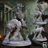 3D Printed Artisan Guild Panther Riders Veiled Sisterhood Set 28mm 32mm