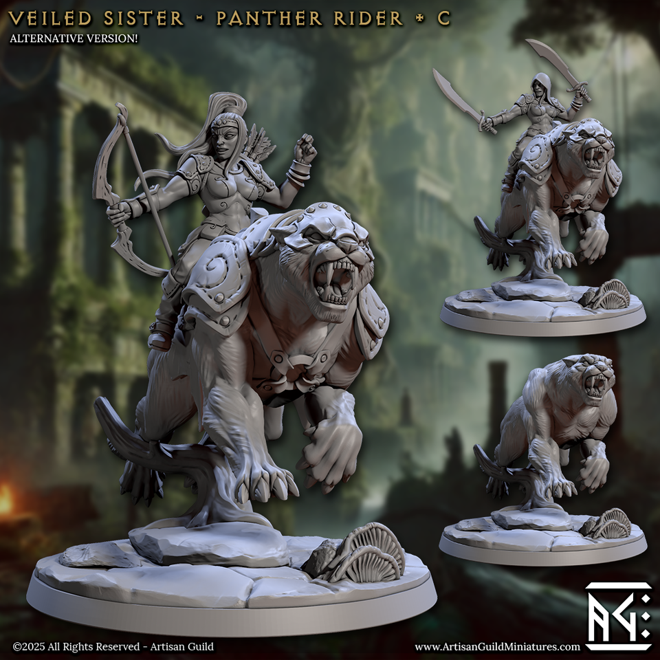3D Printed Artisan Guild Panther Riders Veiled Sisterhood Set 28mm 32mm