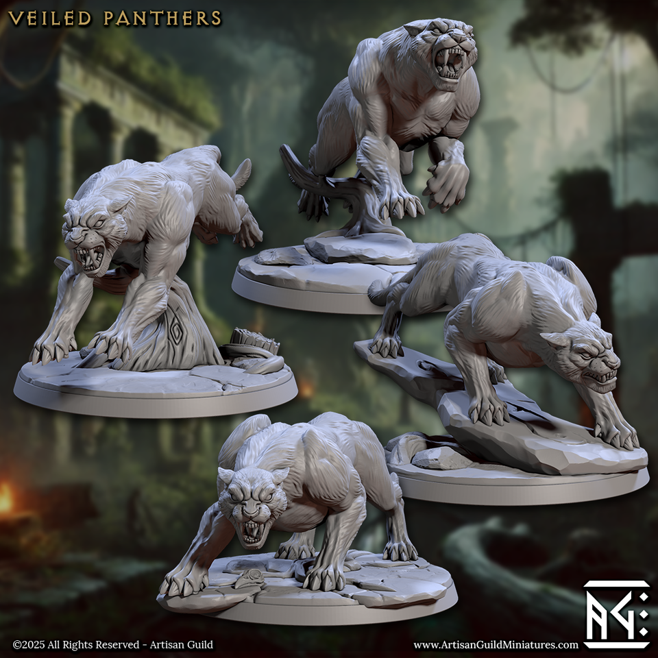 3D Printed Artisan Guild Panther Riders Veiled Sisterhood Set 28mm 32mm