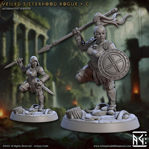 3D Printed Artisan Guild Veiled Sisterhood Rogues Veiled Sisterhood Set 28mm 32mm
