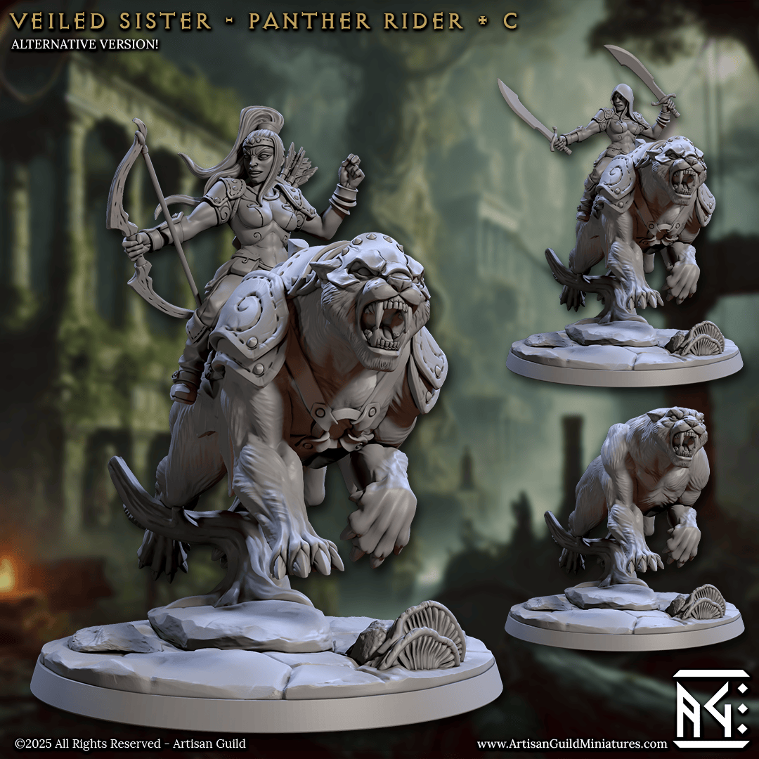 3D Printed Artisan Guild Panther Riders Veiled Sisterhood Set 28mm 32mm - 3D Printing Boss 
