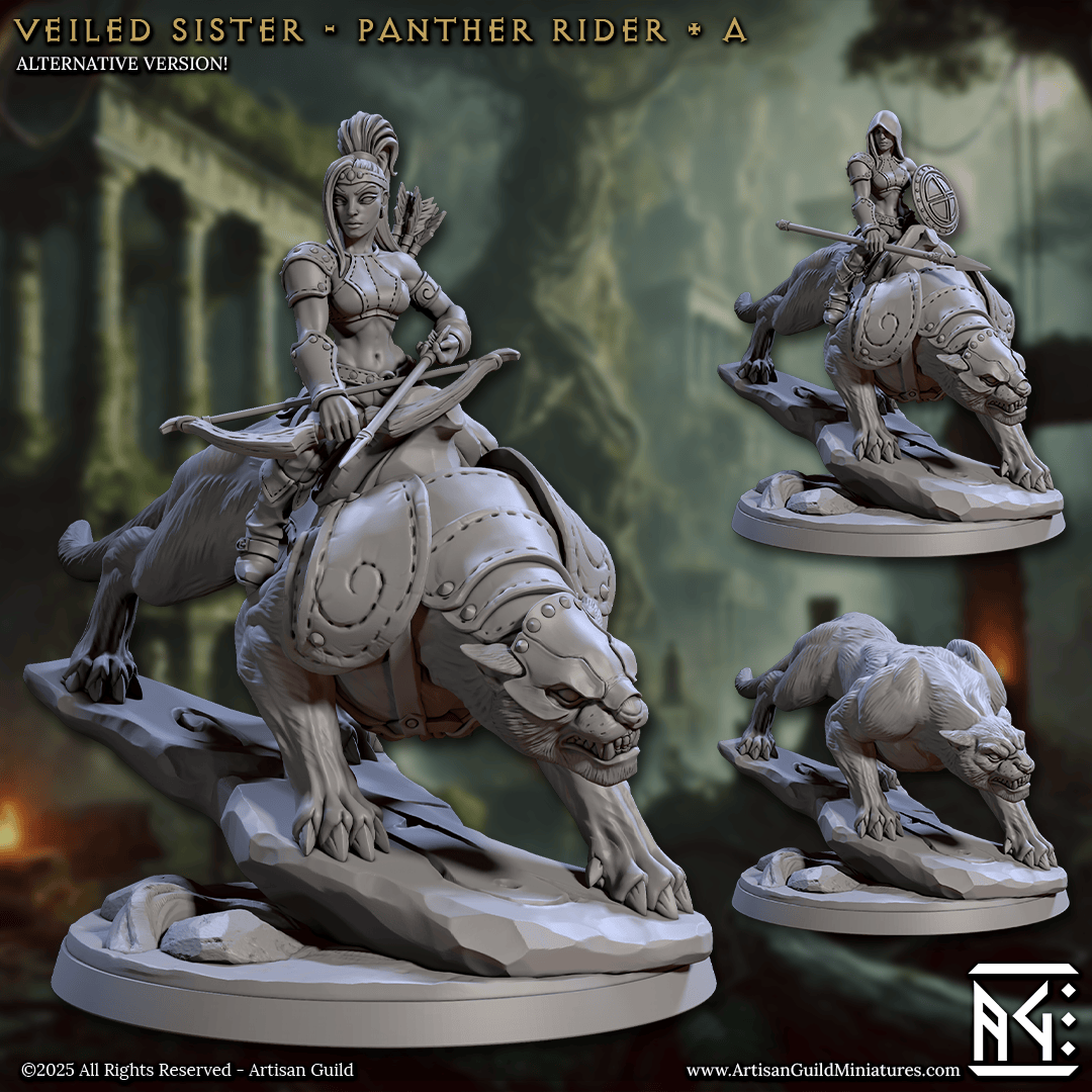 3D Printed Artisan Guild Panther Riders Veiled Sisterhood Set 28mm 32mm - 3D Printing Boss 