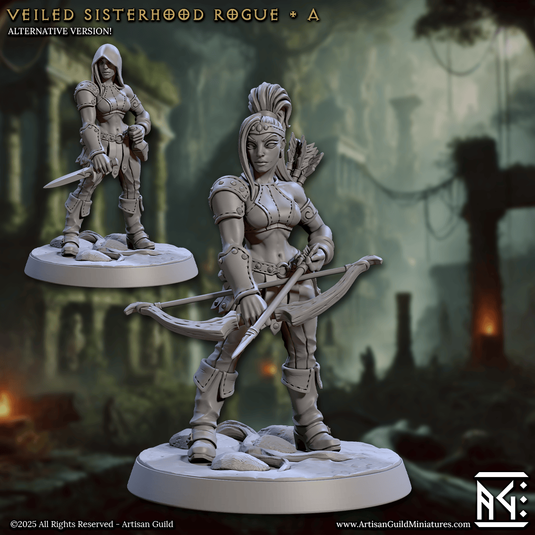 3D Printed Artisan Guild Veiled Sisterhood Rogues Veiled Sisterhood Set 28mm 32mm - 3D Printing Boss 