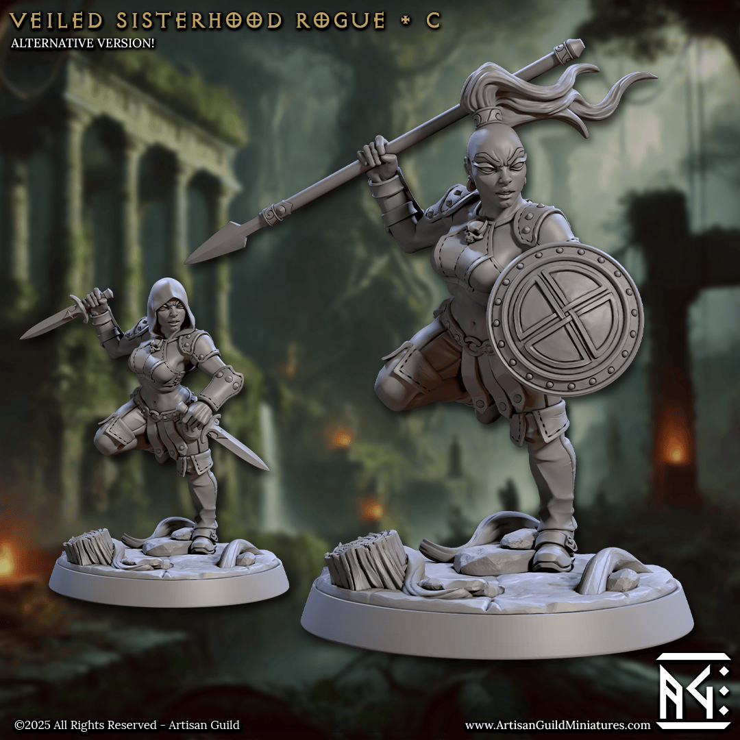 3D Printed Artisan Guild Veiled Sisterhood Rogues Veiled Sisterhood Set 28mm 32mm - 3D Printing Boss 