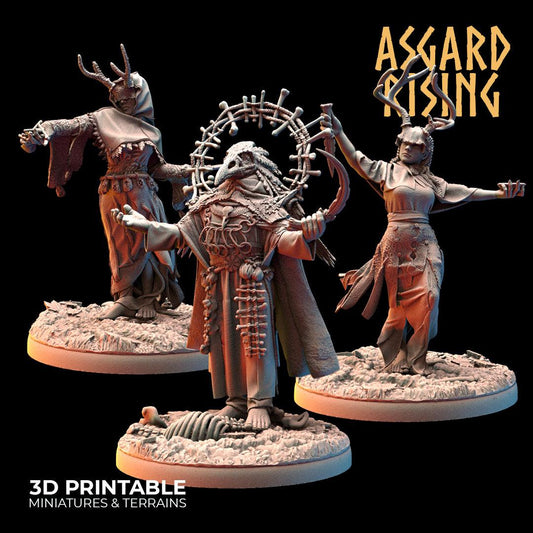 3D Printed Asgard Rising Hofgothi and Priestesses of the Raven Clan - 28 32mm Wargaming DnD - 3D Printing Boss 
