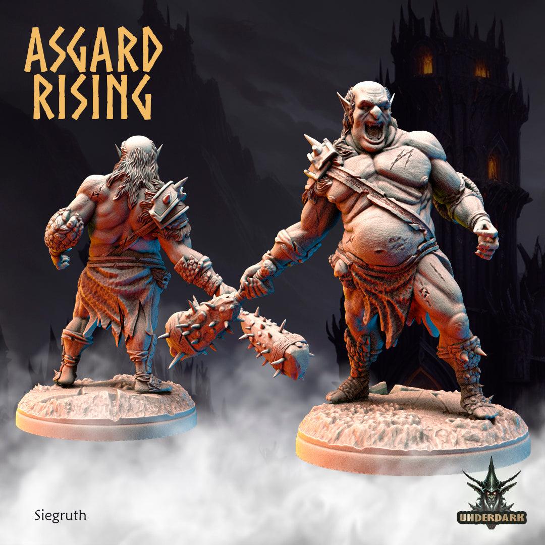 3D Printed Asgard Rising Siegruth 28 32 mm Wargaming DnD - 3D Printing Boss 