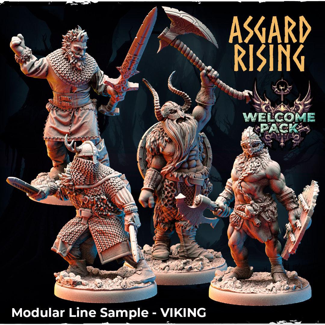 3D Printed Asgard Rising Viking Modular Line Set 28 32 mm Wargaming DnD - 3D Printing Boss 