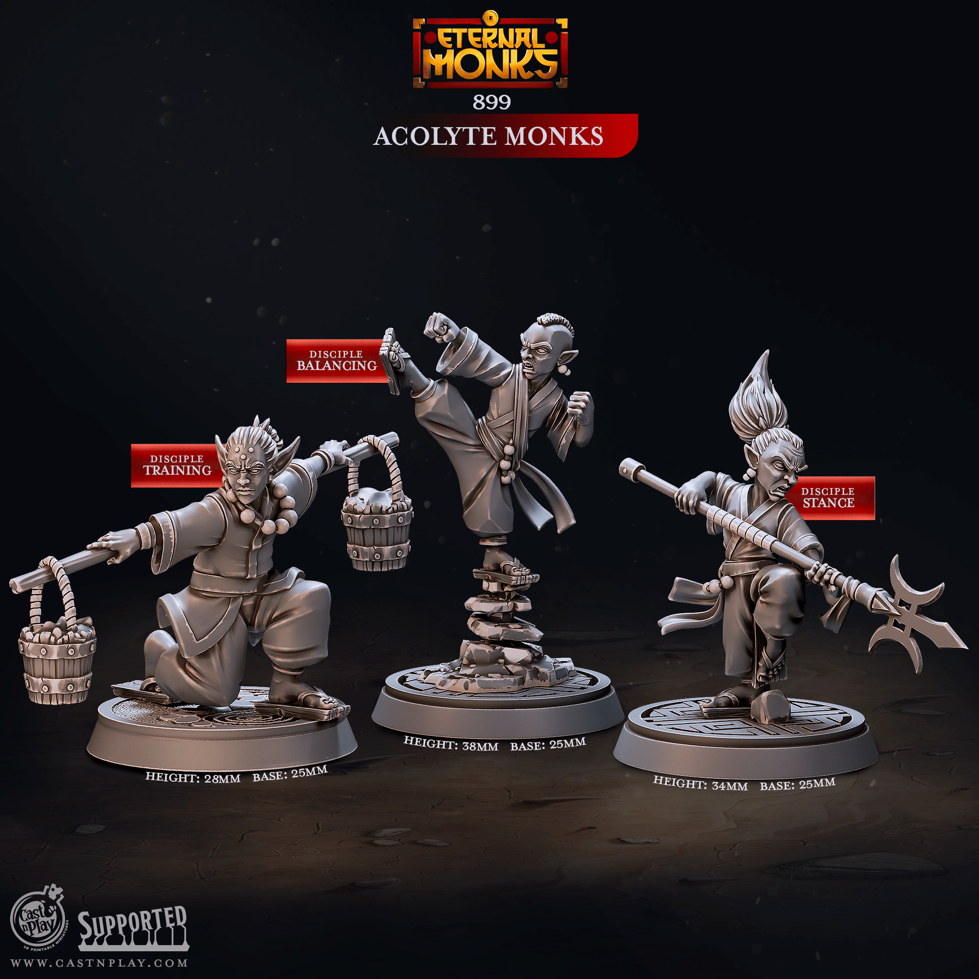 3D Printed Cast n Play Acolyte Monks Eternal Monks Set 28mm 32mm D&D - 3D Printing Boss 