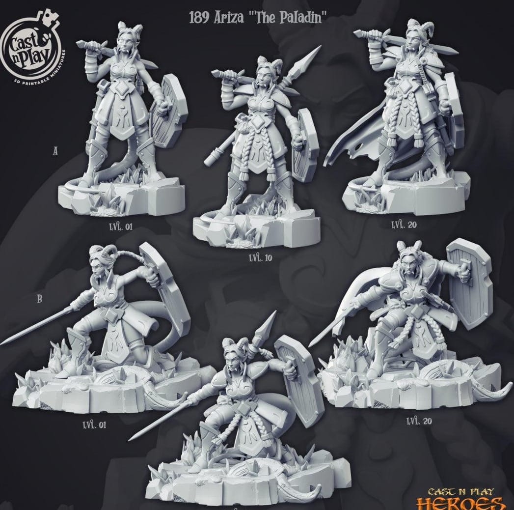 3D Printed Cast n Play Ariza the Paladin Heroes Vol. 1 28mm 32mm D&D - 3D Printing Boss 