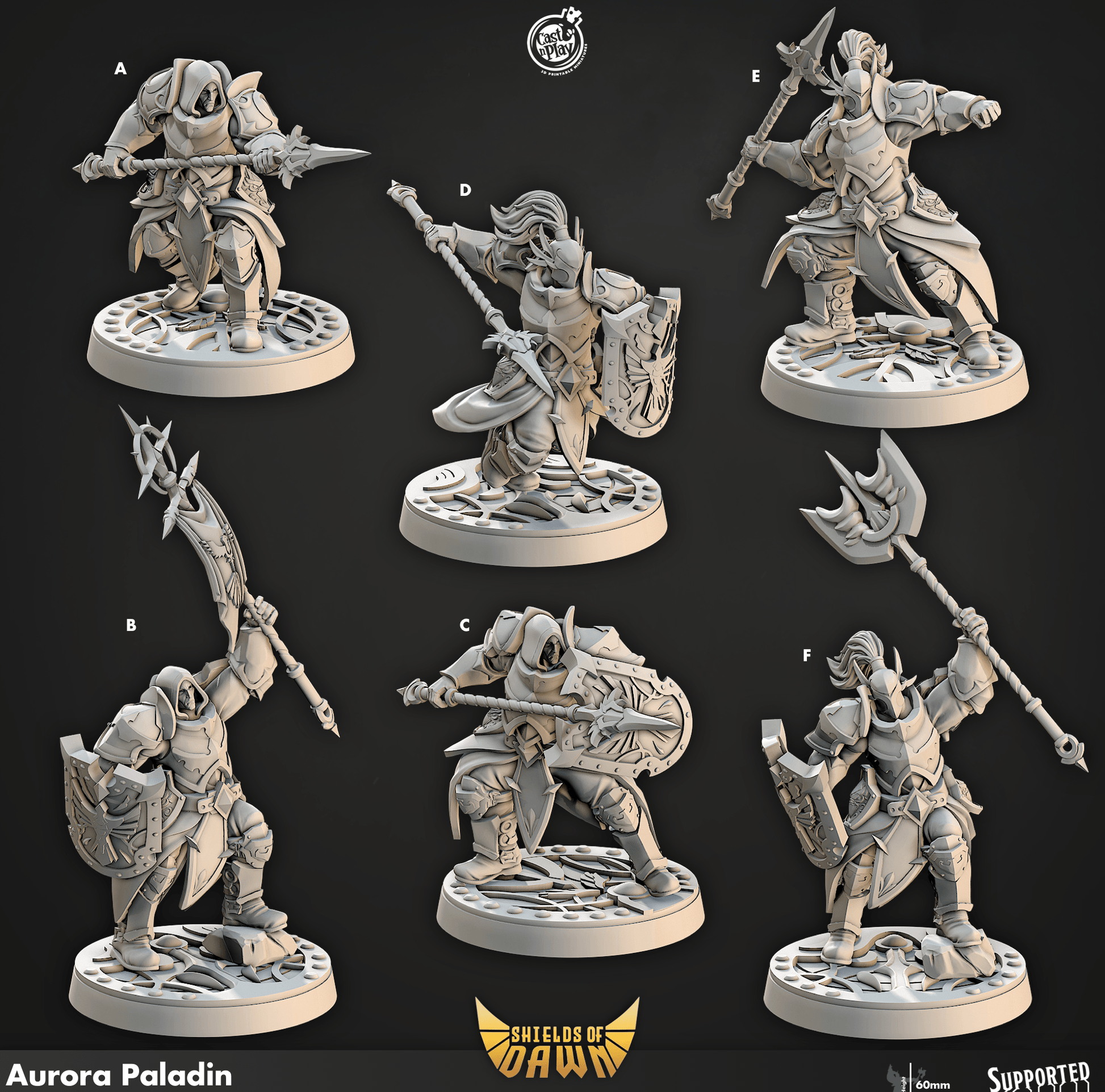 3D Printed Cast n Play Aurora Paladin Shields of Dawn 28mm 32mm D&D - 3D Printing Boss 