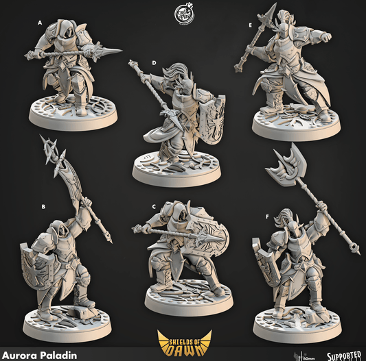 3D Printed Cast n Play Aurora Paladin Shields of Dawn 28mm 32mm D&D - 3D Printing Boss 