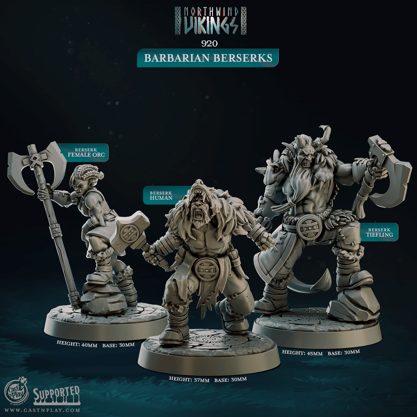 3D Printed Cast n Play Barbarian Berserks Northwind Vikings 28mm 32mm D&D - 3D Printing Boss 