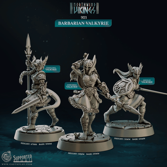 3D Printed Cast n Play Barbarian Valkyrie Northwind Vikings 28mm 32mm D&D - 3D Printing Boss 