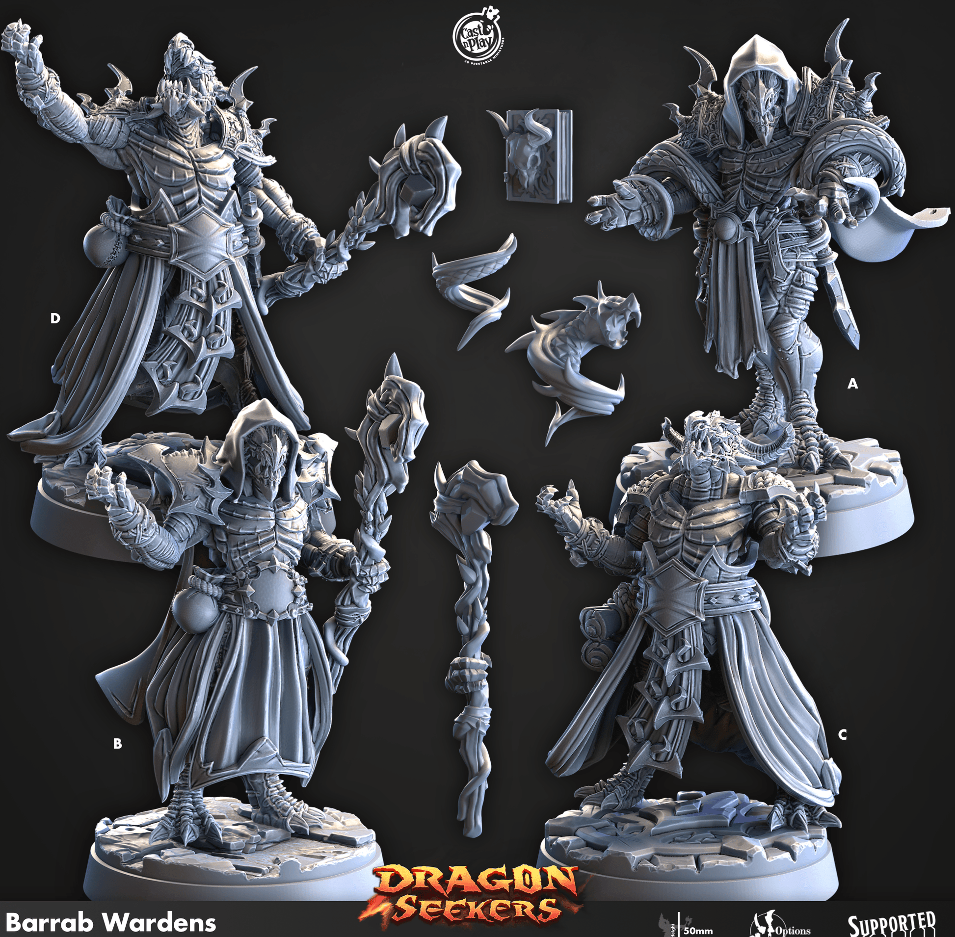 3D Printed Cast n Play Barrab Wardens Dragon Seekers Set 28mm 32mm D&D - 3D Printing Boss 