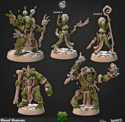 3D Printed Cast n Play Blood Shaman Iron Skull Orcs 28mm 32mm D&D - 3D Printing Boss 