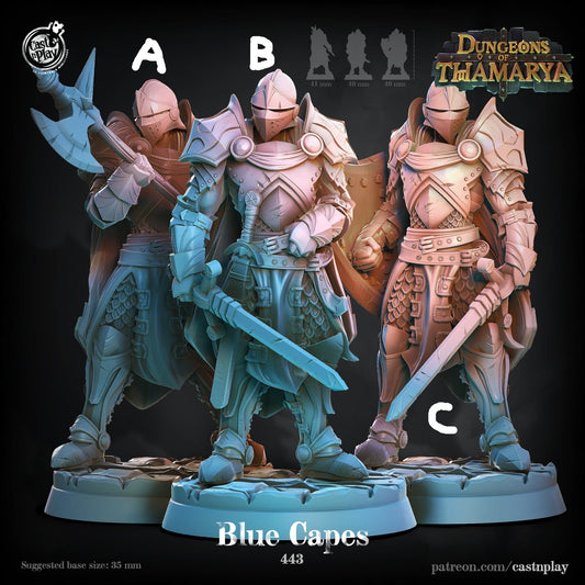 3D Printed Cast n Play Blue Capes Dungeons of Thamarya Set 28mm 32mm D&D - 3D Printing Boss 