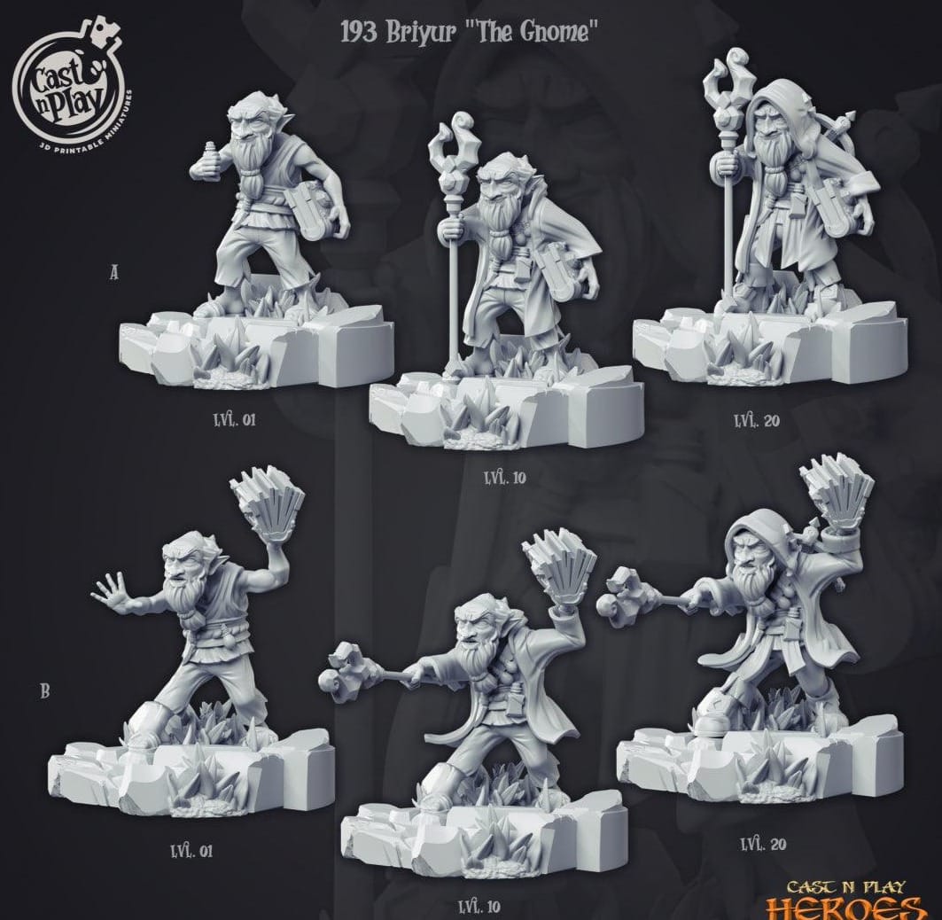 3D Printed Cast n Play Briyur the Gnome Heroes Vol. 1 28mm 32mm D&D - 3D Printing Boss 