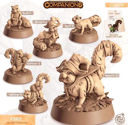 3D Printed Cast n Play Chip - Chipmunk Companions 28mm 32mm D&D - 3D Printing Boss 