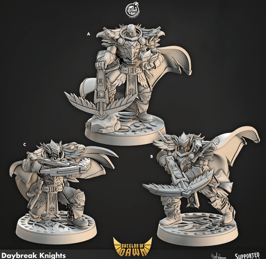 3D Printed Cast n Play Daybreak Knights Shields of Dawn 28mm 32mm D&D - 3D Printing Boss 
