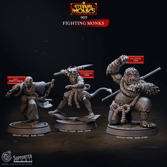 3D Printed Cast n Play Fighting Monks Eternal Monks Set 28mm 32mm D&D - 3D Printing Boss 