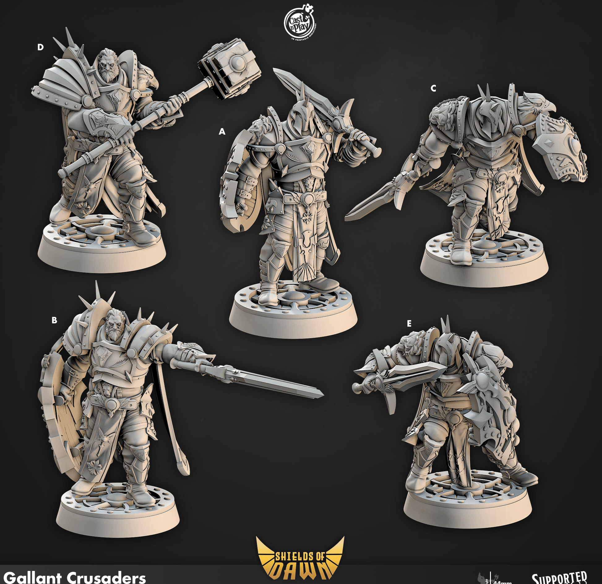 3D Printed Cast n Play Gallant Crusaders Shields of Dawn 28mm 32mm D&D - 3D Printing Boss 