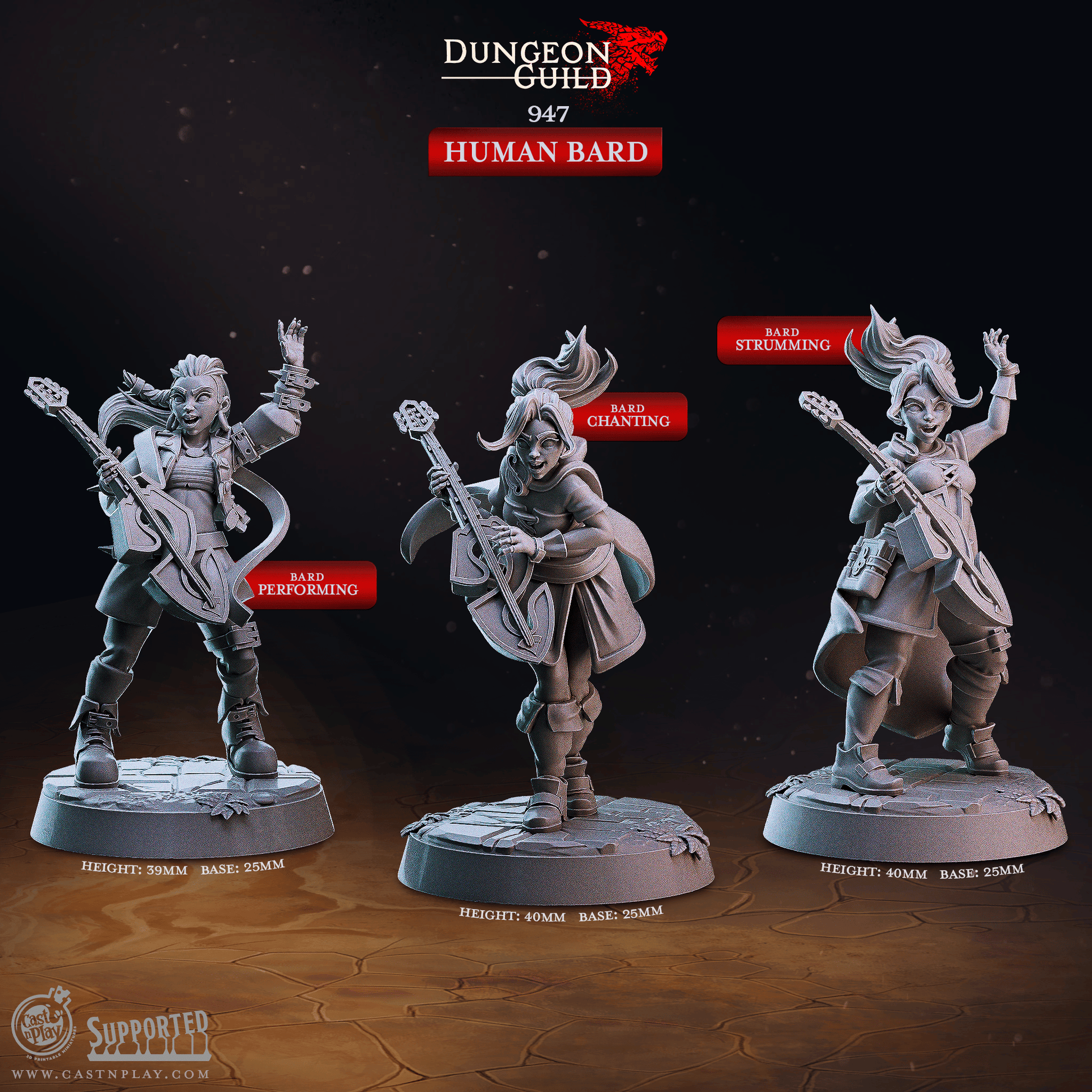 3D Printed Cast n Play Human Bard Dungeon Guild Set 28mm 32mm D&D - 3D Printing Boss 