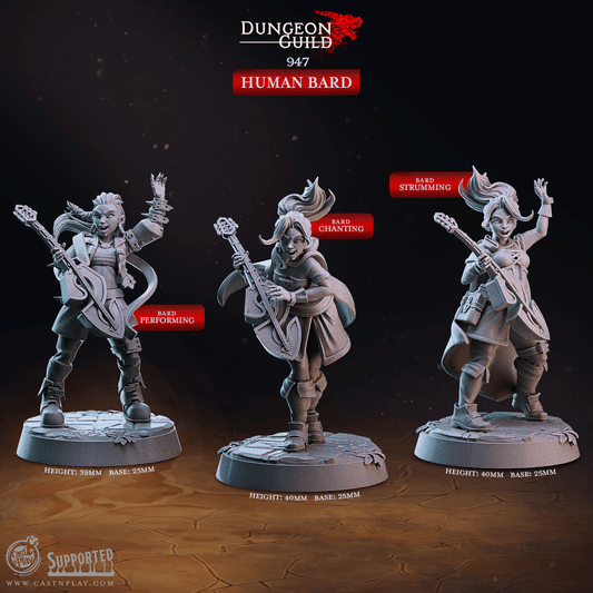 3D Printed Cast n Play Human Bard Dungeon Guild Set 28mm 32mm D&D - 3D Printing Boss 