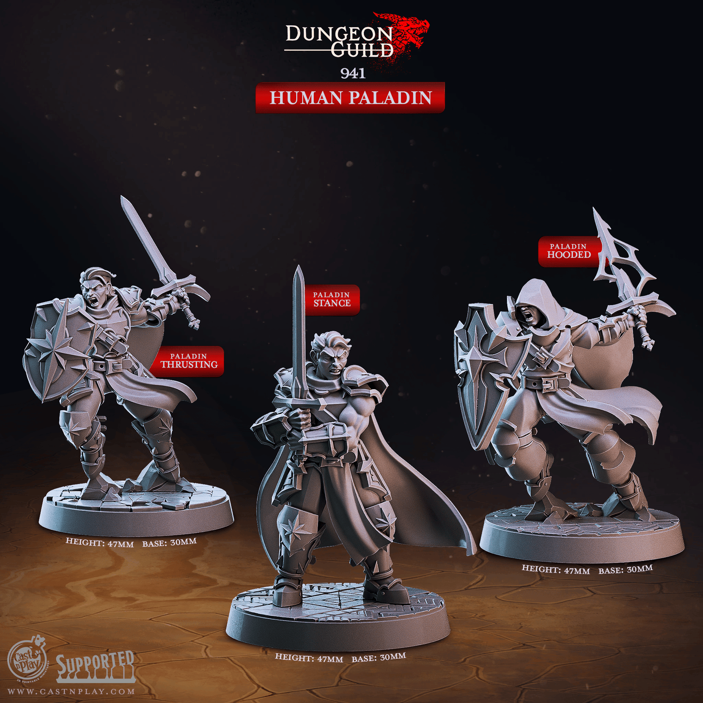 3D Printed Cast n Play Human Paladin Dungeon Guild Set 28mm 32mm D&D - 3D Printing Boss 