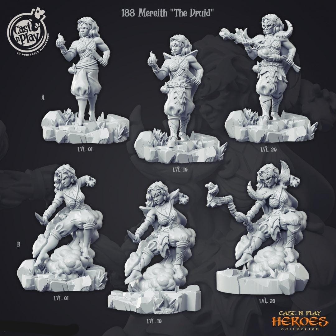 3D Printed Cast n Play Mereith the Druid Heroes Vol. 1 28mm 32mm D&D - 3D Printing Boss 