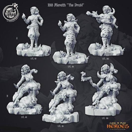 3D Printed Cast n Play Mereith the Druid Heroes Vol. 1 28mm 32mm D&D - 3D Printing Boss 