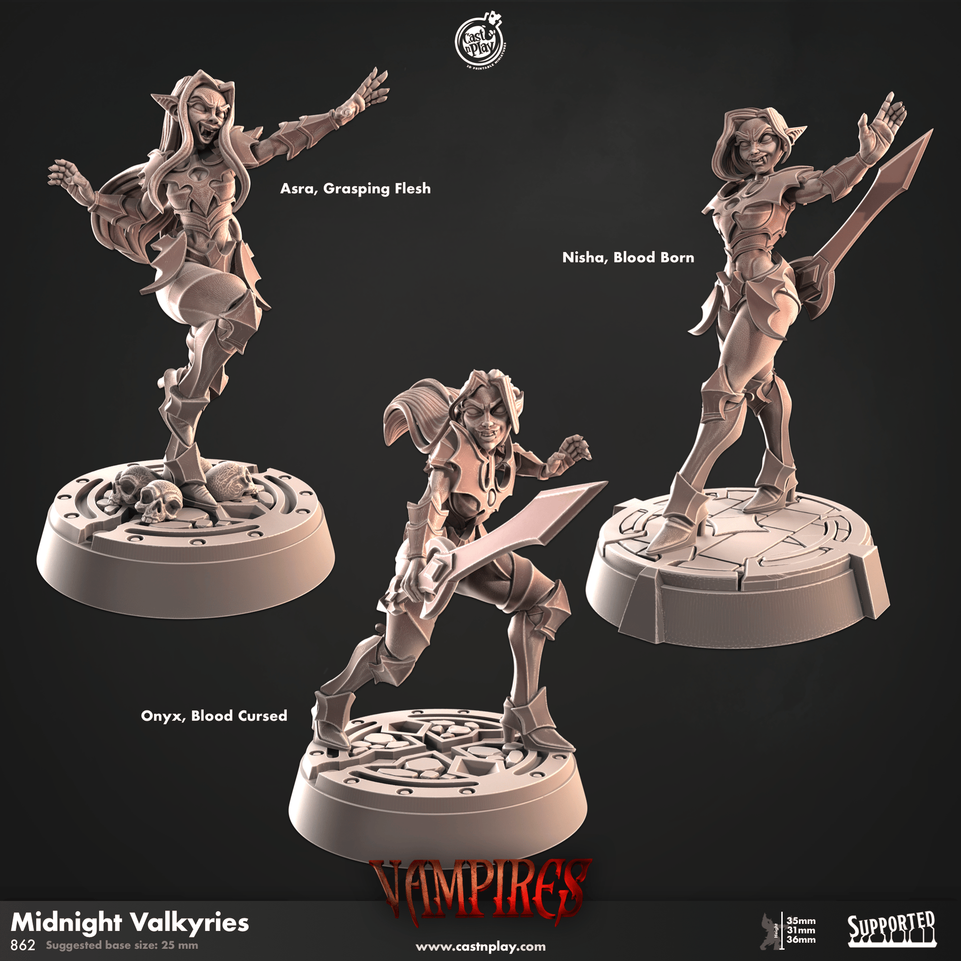 3D Printed Cast n Play Midnight Valkyries Vampires Set 28mm 32mm D&D - 3D Printing Boss 
