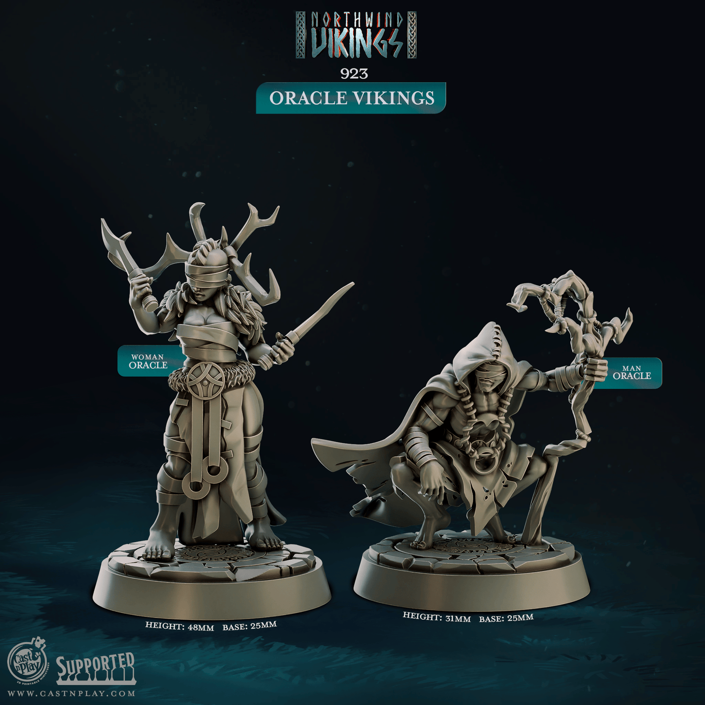 3D Printed Cast n Play Oracle Vikings Northwind Vikings 28mm 32mm D&D - 3D Printing Boss 