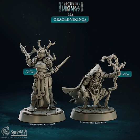 3D Printed Cast n Play Oracle Vikings Northwind Vikings 28mm 32mm D&D - 3D Printing Boss 