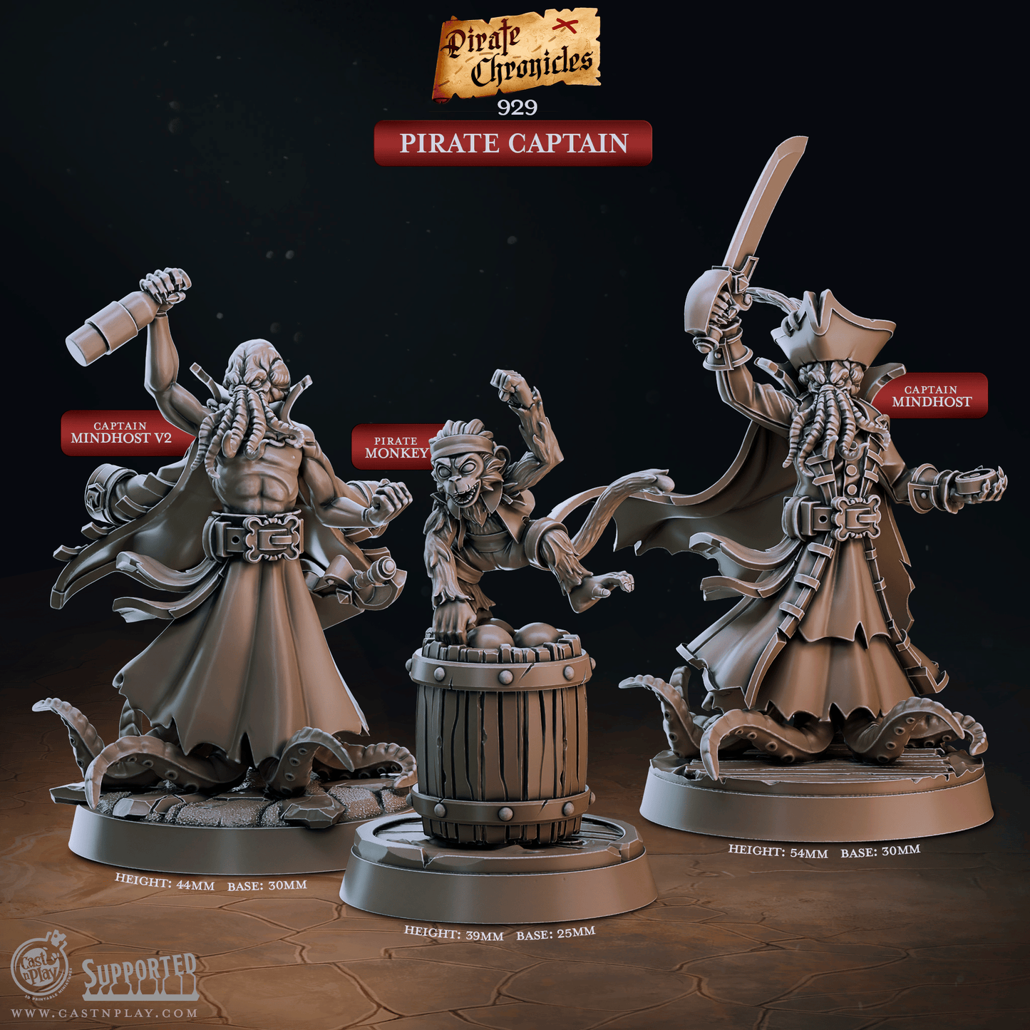 3D Printed Cast n Play Pirate Chronicles Collection 28mm 32mm D&D - 3D Printing Boss 