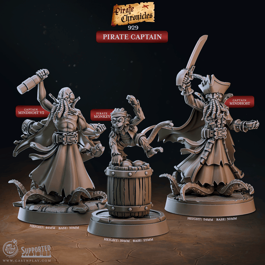 3D Printed Cast n Play Pirate Chronicles Collection 28mm 32mm D&D - 3D Printing Boss 