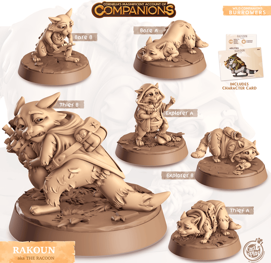 3D Printed Cast n Play Rakoun - Racoon Companions 28mm 32mm D&D - 3D Printing Boss 