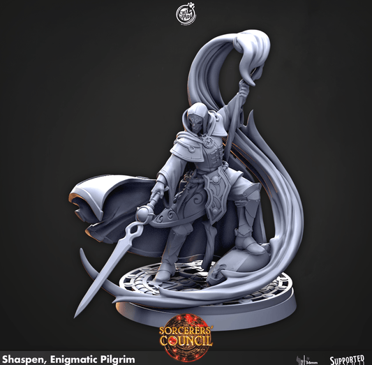 3D Printed Cast n Play Shaspen, Enigmatic Pilgrim Sorcerers Council 28mm 32mm D&D - 3D Printing Boss 