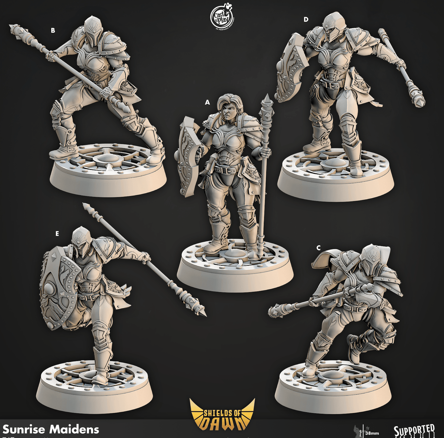 3D Printed Cast n Play Sunrise Maidens Shields of Dawn 28mm 32mm D&D - 3D Printing Boss 
