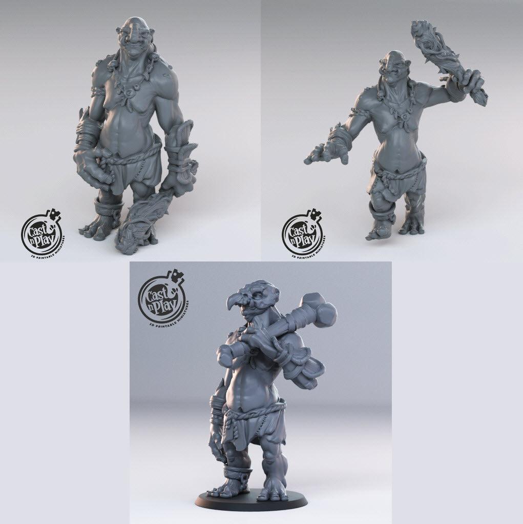 3D Printed Cast n Play Trolls 28mm 32mm D&D - 3D Printing Boss 