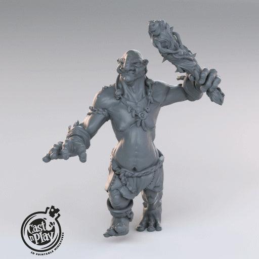 3D Printed Cast n Play Trolls 28mm 32mm D&D - 3D Printing Boss 