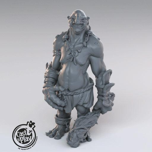 3D Printed Cast n Play Trolls 28mm 32mm D&D - 3D Printing Boss 