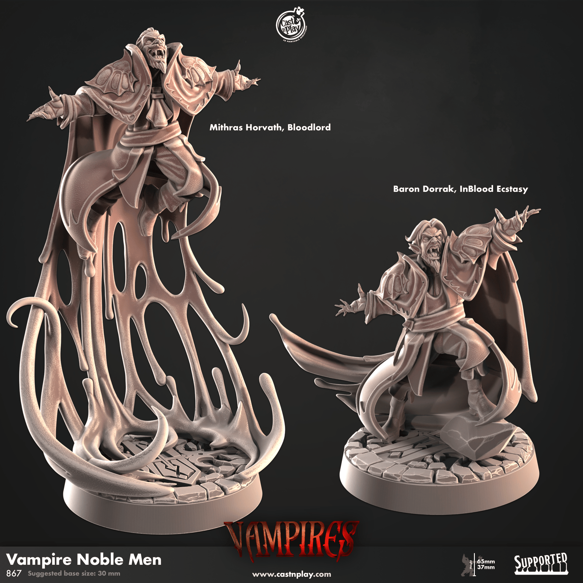 3D Printed Cast n Play Vampire Noble Men Vampires Set 28mm 32mm D&D - 3D Printing Boss 